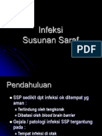 2~infeksi susunan saraf