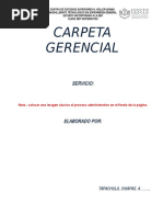 CARPETA GERENCIAL+2017.doc