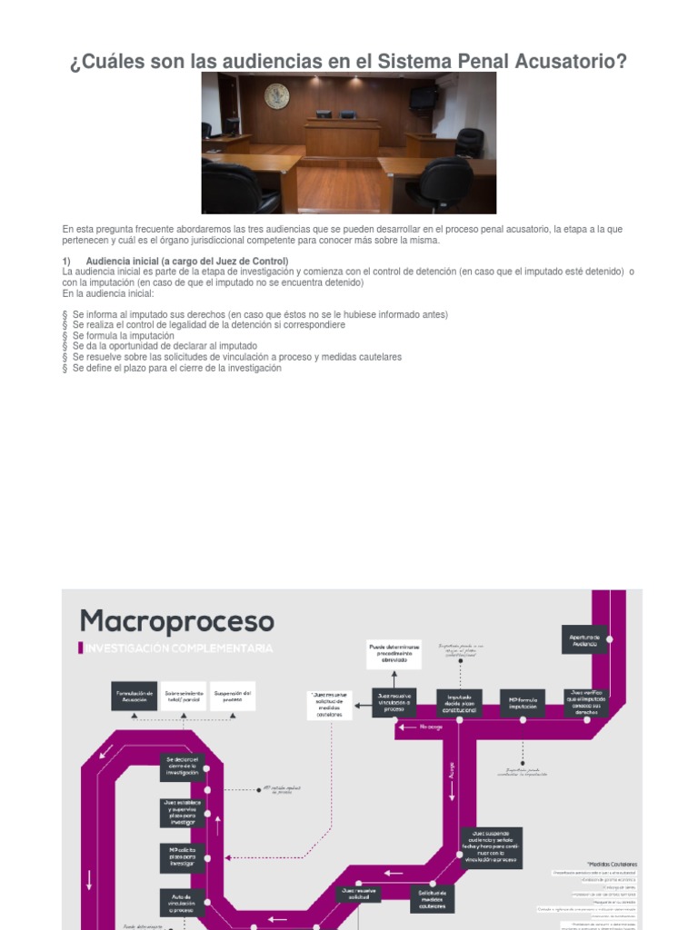 Tipos de Audiencias en el Proceso Penal | PDF | Procedimiento Criminal ...
