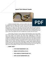 Report Text about Snake.docx