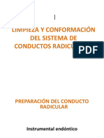 LIMPIZA  y conformación de CR.pptx