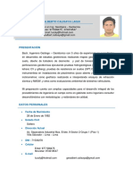 CV Luis Calisaya Laqui