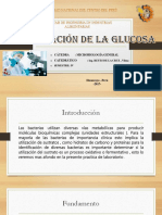 Microbiologia General Fermentacion de La Glucosa (1) [Autoguardado]