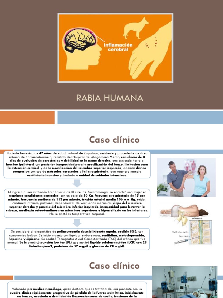 Caso clínico de rabia humana avanzada | PDF | Rabia | Especialidades ...