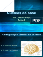 Núcleos Da Base