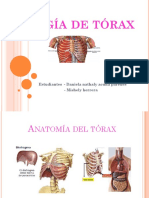 Cirugía torácica: procedimientos y anatomía