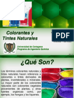 Colorantes y Tintes Naturales (Copia en Conflicto de Fidelina Canabal Colon 2013-10-01)
