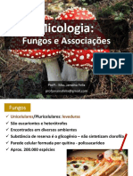 Aula 4 - Micologia 1 PDF