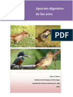 Digestivo Aves.pdf