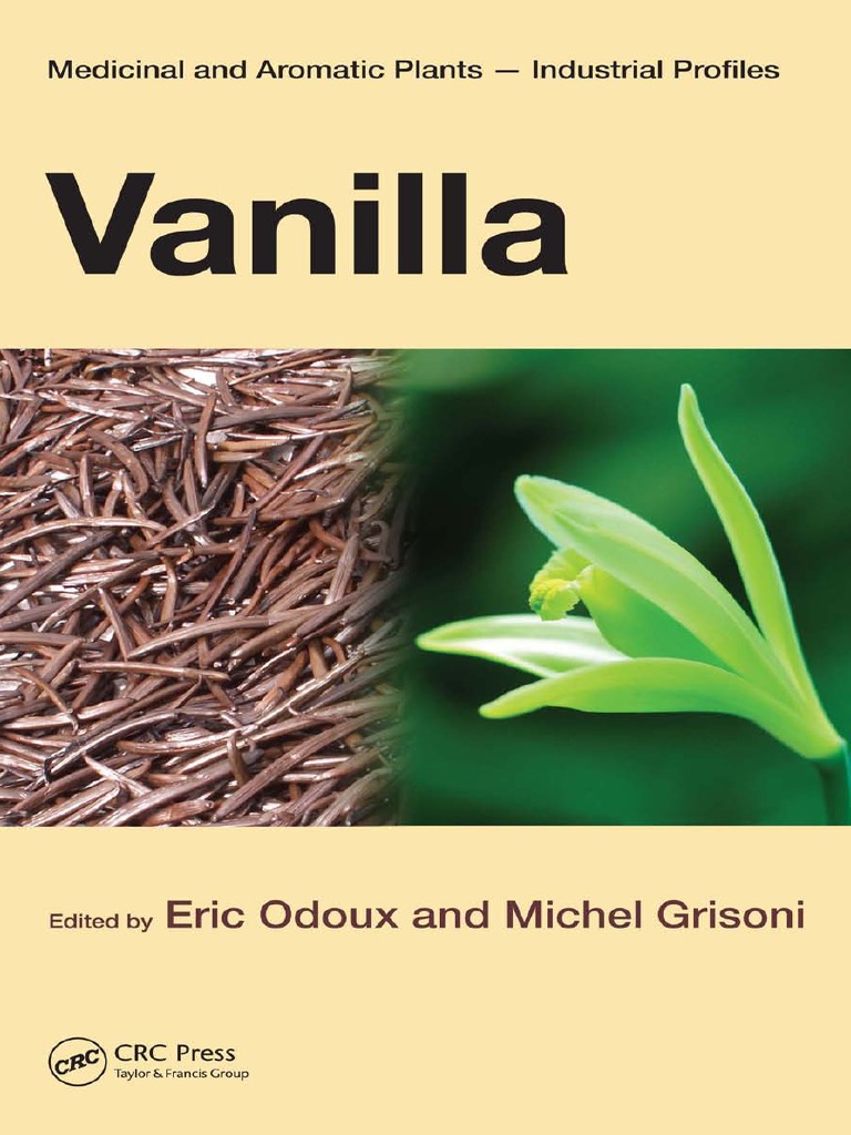 VANILLA OIL (V. Planifolia) at Rs 1200/kg