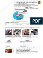 Evaluacion Ciencias 1q 1p