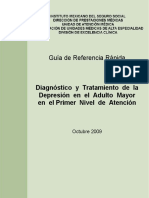 GRR Depresión en El Adulto Mayor