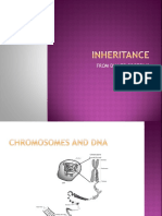 INHERITANCE From DNA To Phenotype Sept 2012 Update
