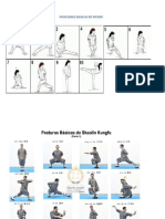 Posiciones Basicas de Wushu