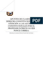 Acciones Constitucionales Profesor Patricio Ponce