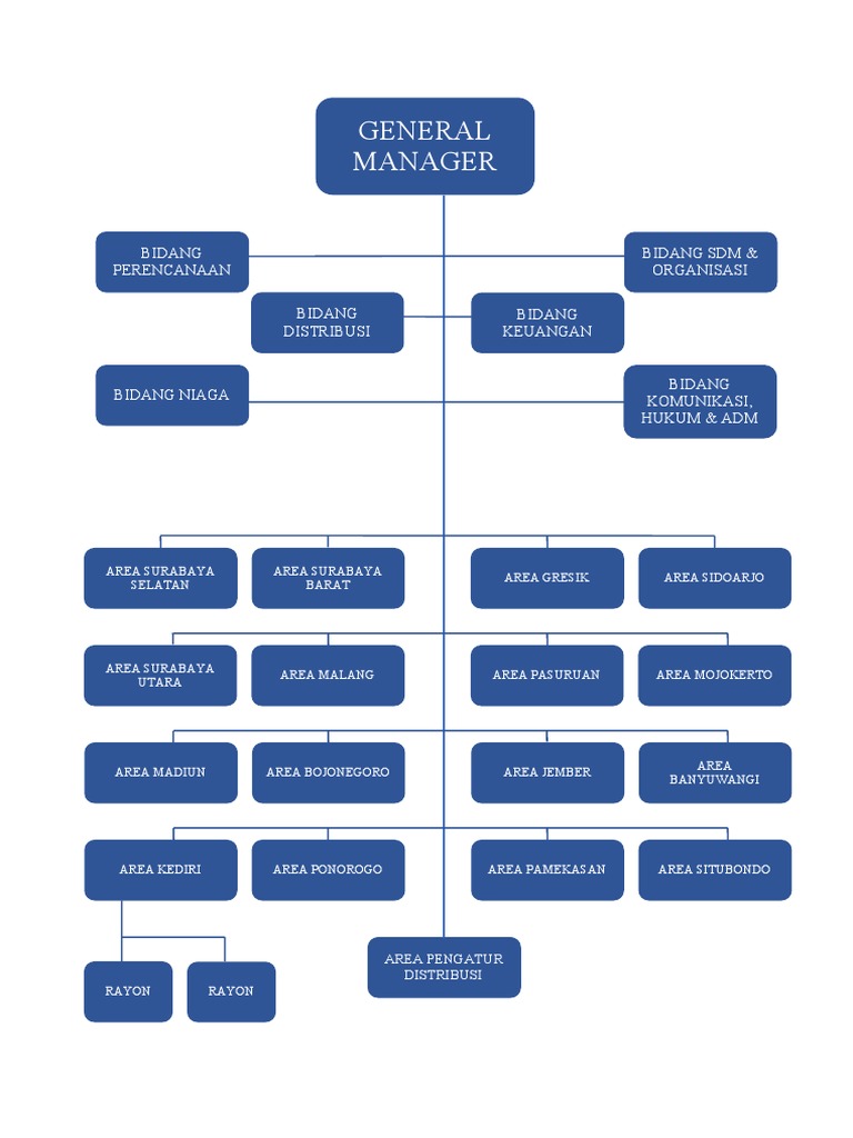 Struktur Organisasi Pln