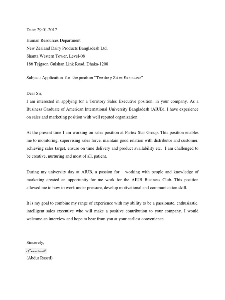 Sales Executive Application | PDF