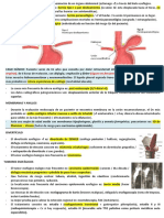Tumores Esofágicos y Otros Trastornos Esofágicos - CTO