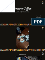 Tucano Coffee - Audit Informațional