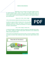 Exposicion de Quimica