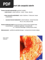 Patologia Aparatului Genital Feminin2017 - Partea A Doua