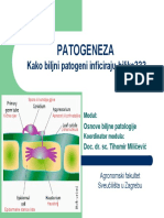 Patogeneza