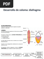 CAVIDAD CORPORAL , MESENTERICOS Y DIAFRAGMA PPT