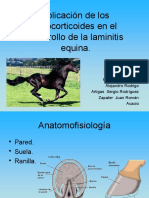 Eq-Laminitis y GC en Equidos