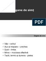 Organe_de_simt_2014.pptx