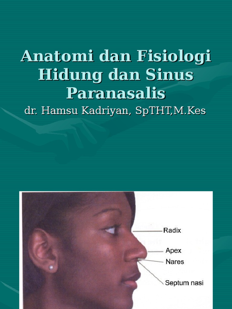 Anatomi Dan Fisiologi Hidung Dan Sinus Paranasalis