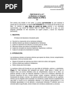 Practico Nc2b06 y Nc2b07 Membrana y Transporte de Membrana