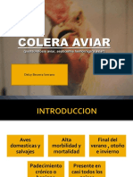 Colera Aviar