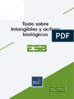 Intangibles y Activos Biologicos.