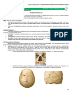 03 Sistema Articular