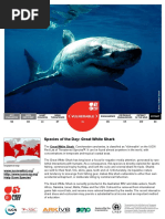 Carcharodon carcharias