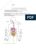 Download Sistem Pencernaan Pada Manusia Dan Hewan Ruminansia by impulstek SN35150820 doc pdf