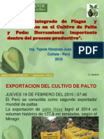 Enfermedades Del Palto 2016 Ppt