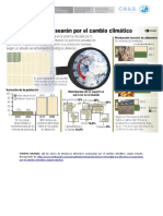 Cambio Climático (Redacción)