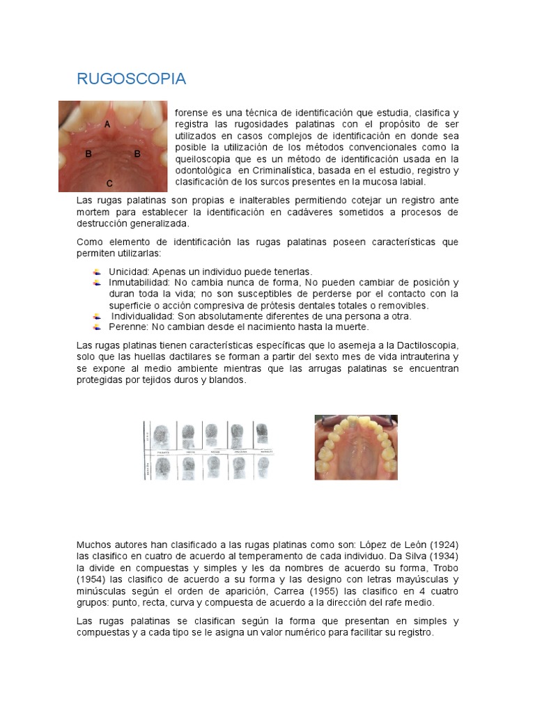 Rugoscopia Forense y Rugas Palatinas | PDF | Huella dactilar | Naturaleza