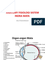 Anfis Mata Inna