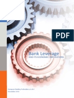 Bank Leverage and Its Economic Implications