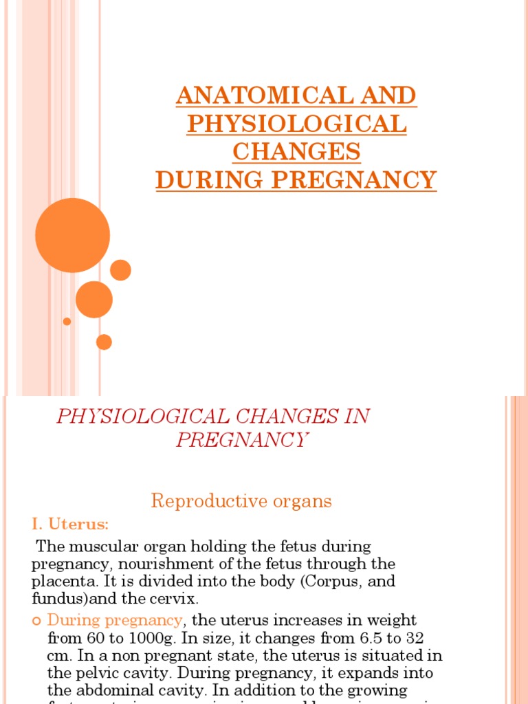 Anatomical Changes During Pregnancy | PDF | Uterus | Menstrual Cycle