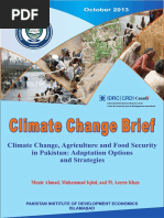 Climate Change Brief