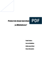 Proiect Visual Merchandising