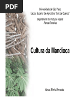 Apostila slides mandioca 2011.pdf