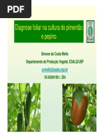 palestra_15_simone.pdf