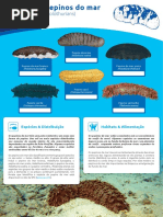 Anon 12 ISFC 09 SeaCucumbers VP