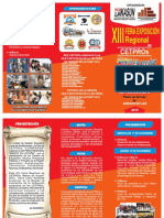 TRIPTICO CETPROS 2015.pdf