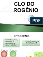 SLIDE - CICLO DO NITROGÊNIO.pptx