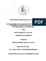 Aprovechamiento de Cáscaras de Pitaya PDF